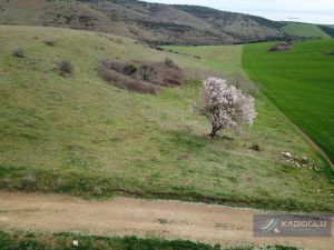 dji_0140_1280x960 (2).JPG